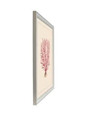 Brookpace Lascelles Red/White Coral V' Coastal Wall Art Frame - Image 3 of 4