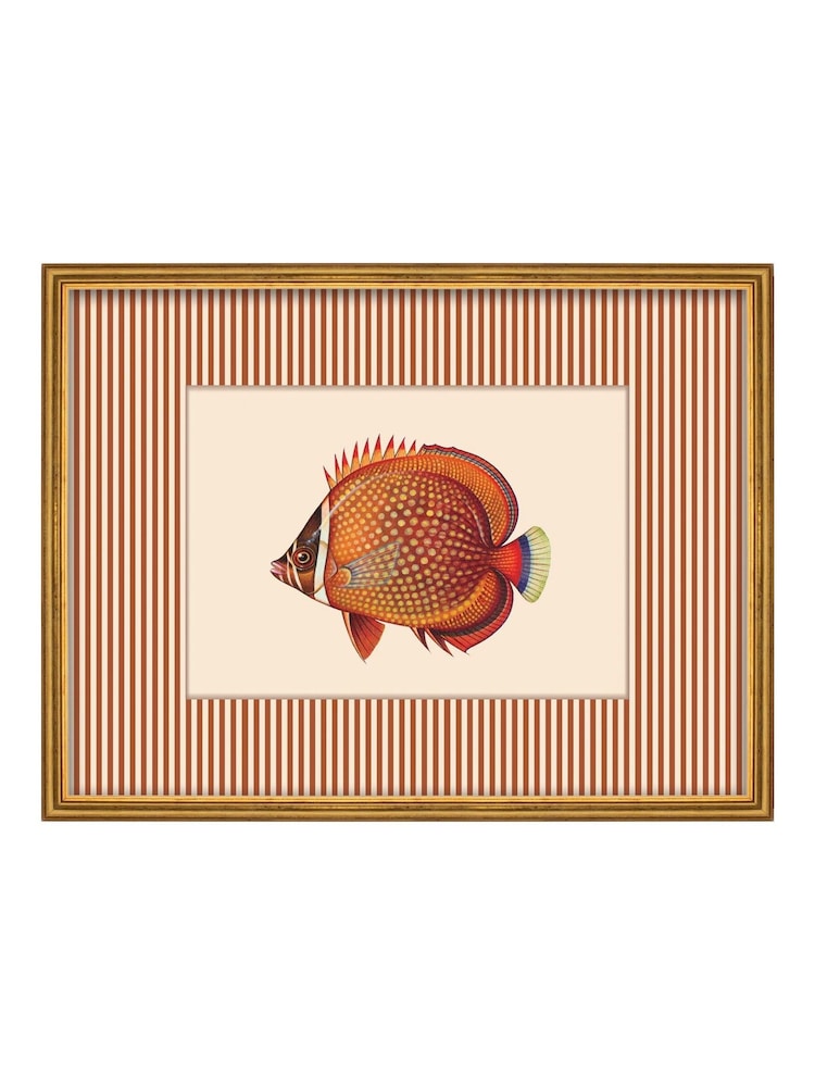Brookpace Lascelles Red/Gold Tropical Fish III' Stripy Wall Art in Slim Frame - Image 1 of 4