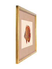 Brookpace Lascelles Red/Gold Tropical Fish III' Stripy Wall Art in Slim Frame - Image 3 of 4