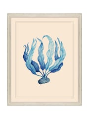 Brookpace Lascelles Blue/White Seaweed I' Coastal Wall Art - Image 1 of 4
