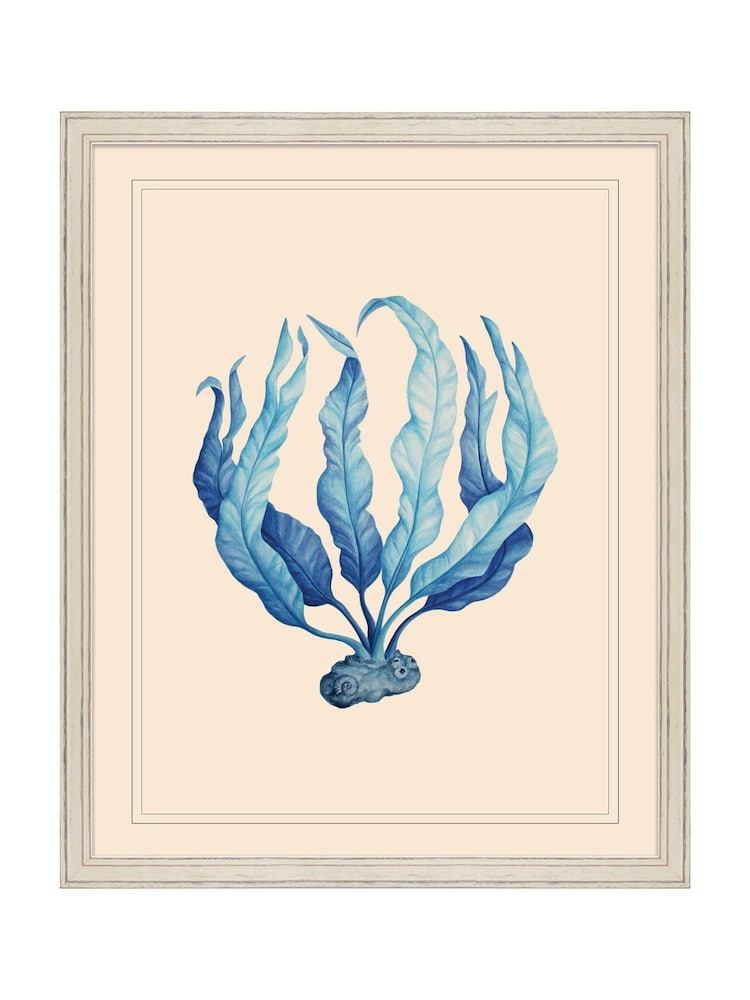 Brookpace Lascelles Blue/White Seaweed I' Coastal Wall Art - Image 1 of 4