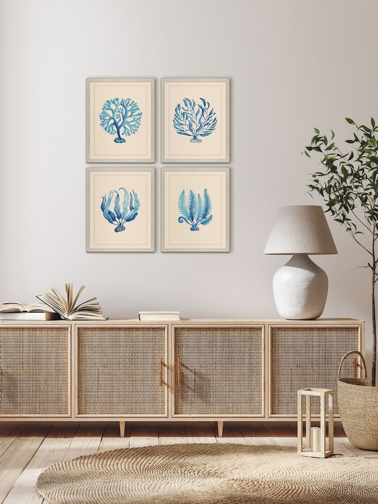 Brookpace Lascelles Blue/White Seaweed I' Coastal Wall Art - Image 2 of 4