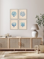 Brookpace Lascelles Blue/White Seaweed IV' Coastal Wall Art - Image 1 of 4