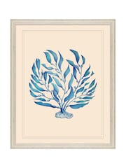 Brookpace Lascelles Blue/White Seaweed II' Coastal Wall Art - Image 1 of 4