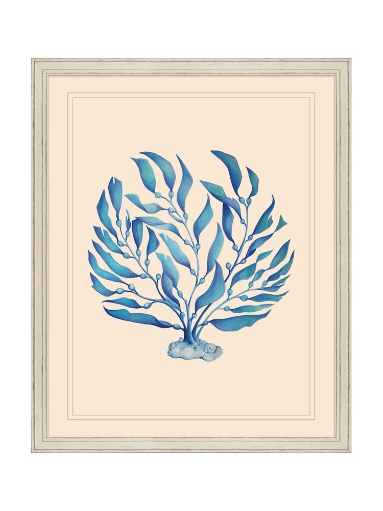 Brookpace Lascelles Blue/White Seaweed II' Coastal Wall Art - Image 1 of 4