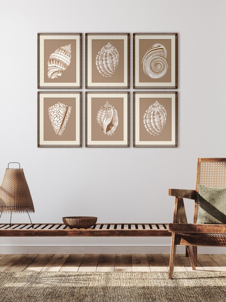 Brookpace Lascelles Beige/Brown Shell II Wall Art in Deep Frame - Image 1 of 4