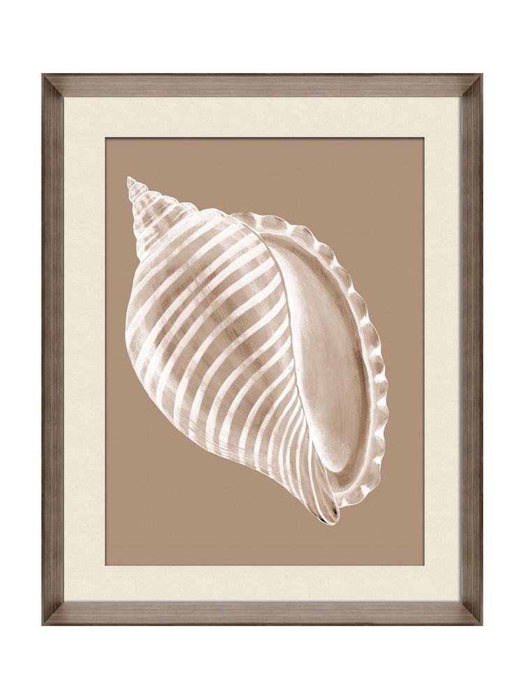 Brookpace Lascelles Beige/Brown Shell II Wall Art in Deep Frame - Image 2 of 4