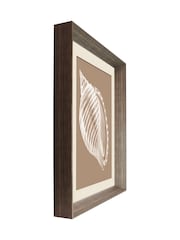 Brookpace Lascelles Beige/Brown Shell II Wall Art in Deep Frame - Image 3 of 4