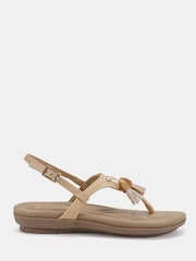 Novo Natural Regular Fit Tessa Toe Post Padded Footbed Sandal - Image 1 of 5