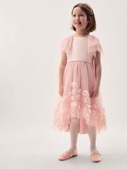 Monsoon Pink Eden Appliqué Rose Tulle Dress - Image 1 of 5