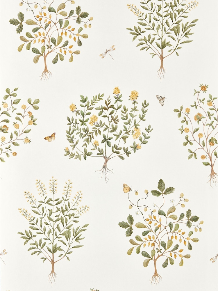 Sanderson Lichen Gooseberry Highgrove Wallpaper 10M Thyme Walk - Image 1 of 1