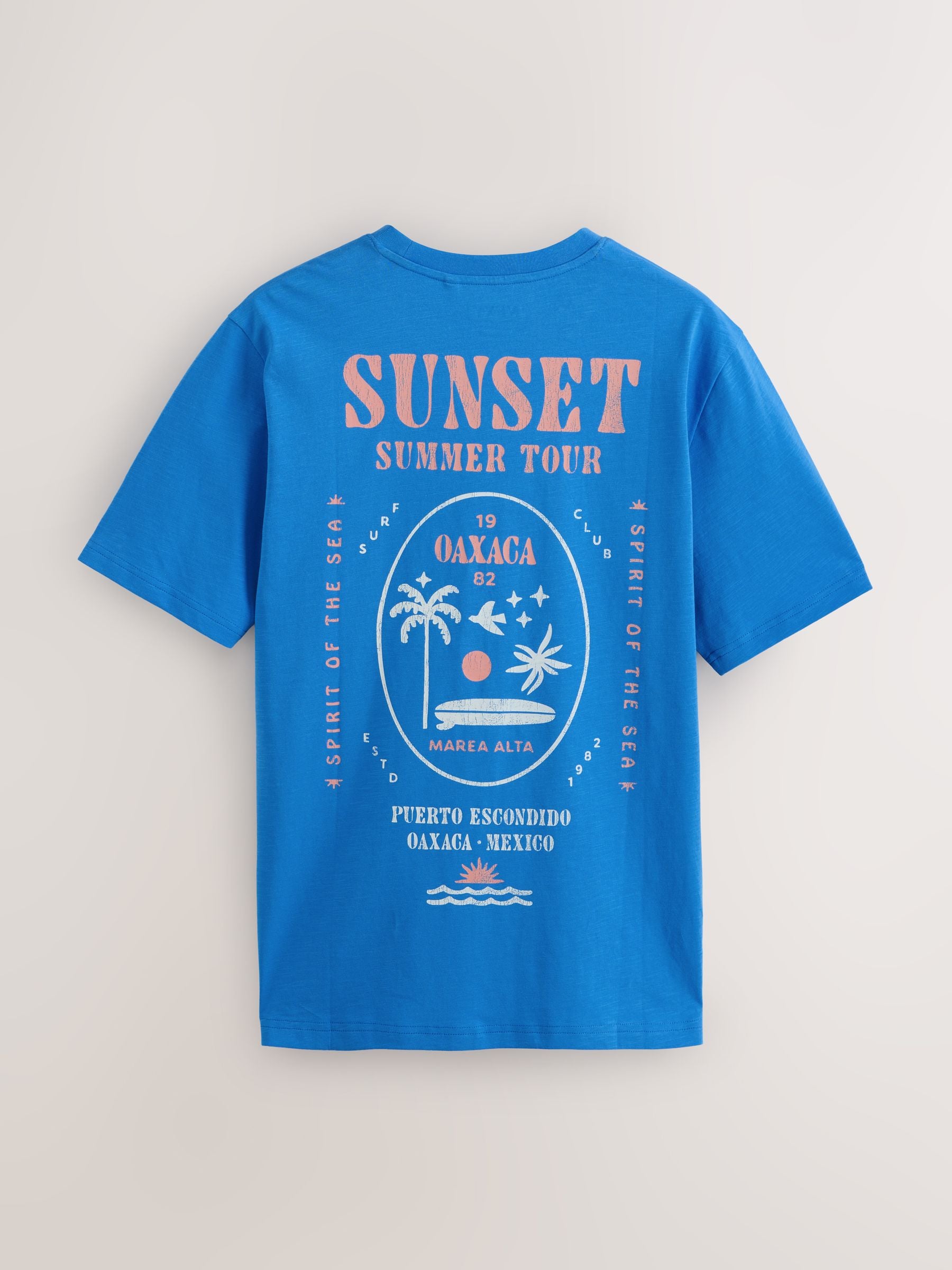Buy Blue / White / Pink Regular Fit Graphic Print T-Shirts 3 Pack