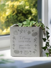Personalised Pumpkin Concrete Plant Pot by PMC - Image 2 of 3