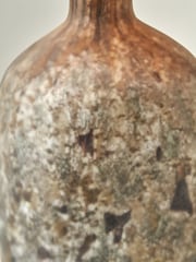 Pacific Brown Palmino Organic Glass Bottle Table Lamp - Image 4 of 6