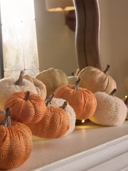 Natural Light Up Autumn Pumpkin Garland - Image 3 of 4