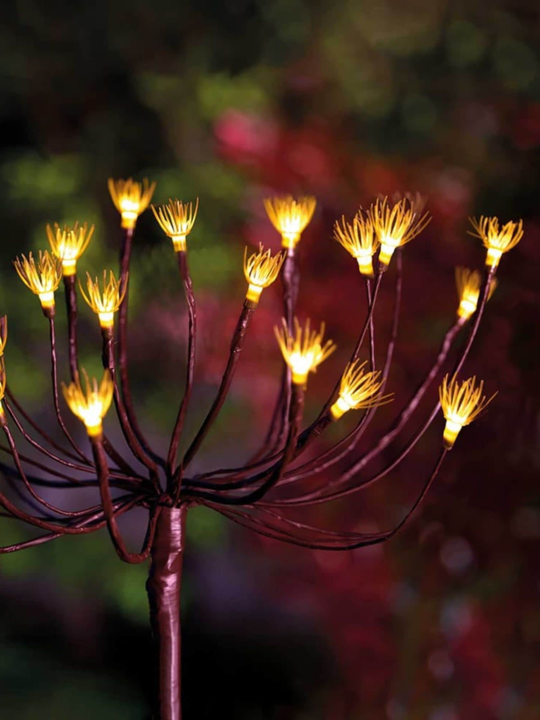 B&Q -  Solarcentre Wild Fennel Solar Stake  Decorative Light - Image 2