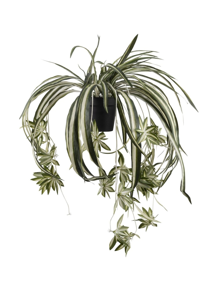Abigail Ahern Green Artificial Spider Plant - Image 5 of 5