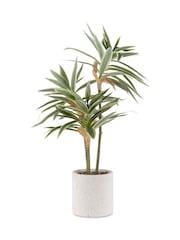 Abigail Ahern Green Artificial Dracena Plant - Image 5 of 5