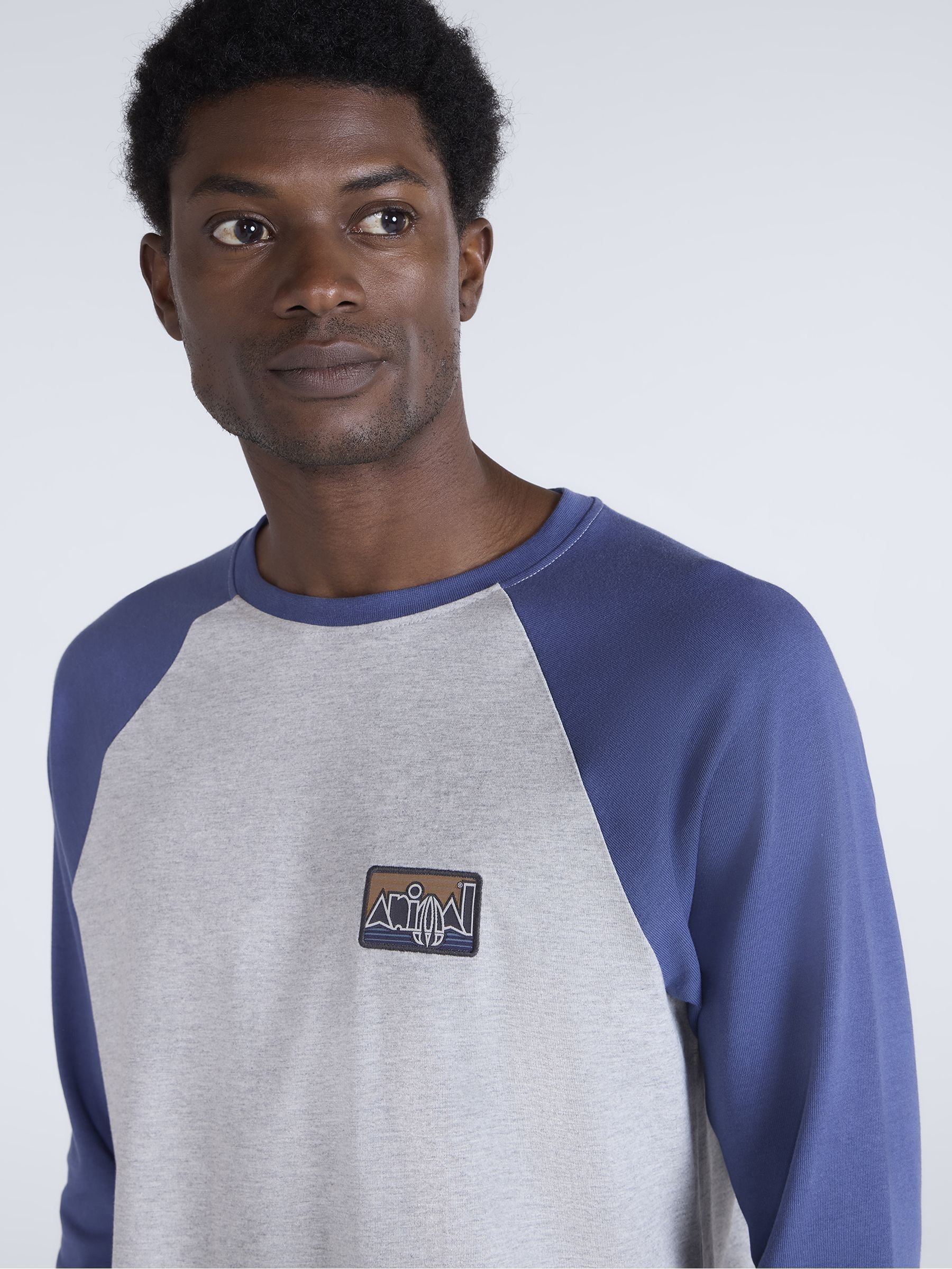 Buy Animal Blue Sander T-Shirt from Next Romania