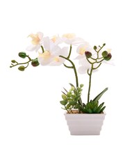 Country Living White Small Artificial Potted Orchid - Image 1 of 2