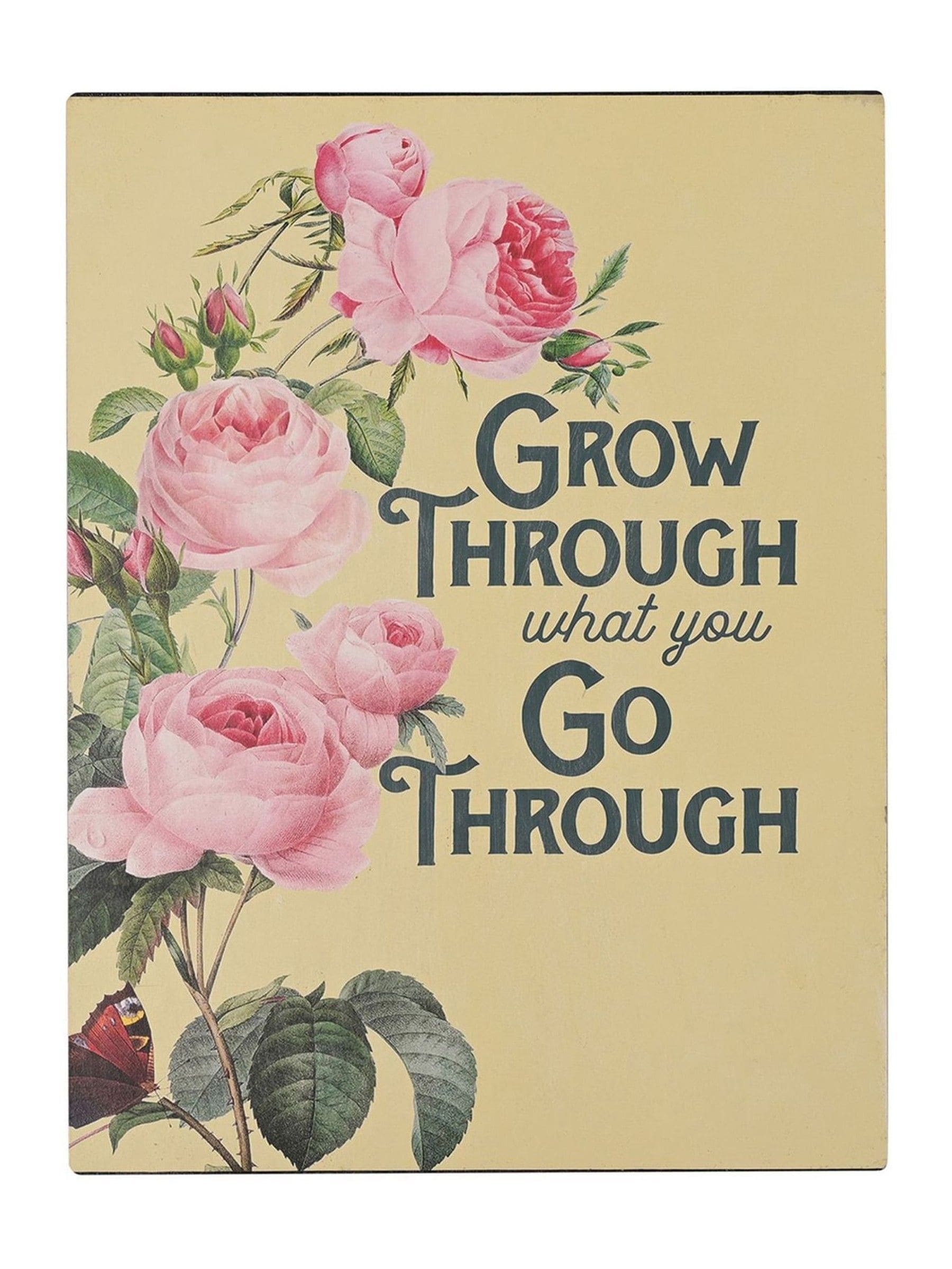 Julian Charles Multi Country Living Metal Wall Plaque - Grow Through What You Go Through - One Size - Image 3