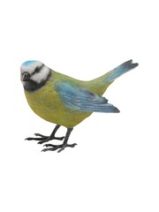 Country Living Green Blue Tit Figurine Ornament - Image 1 of 3