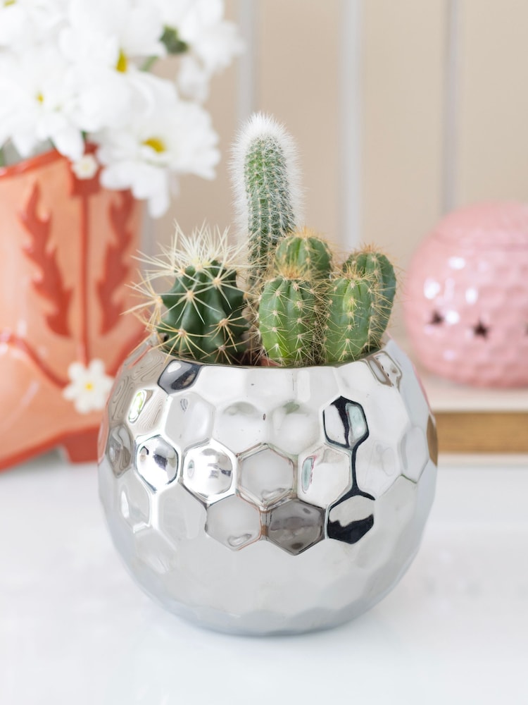 Something Different Silver Disco Ball Vase - Image 1 of 3 Something Different Silver Disco Ball Vase - Image 1 of 3