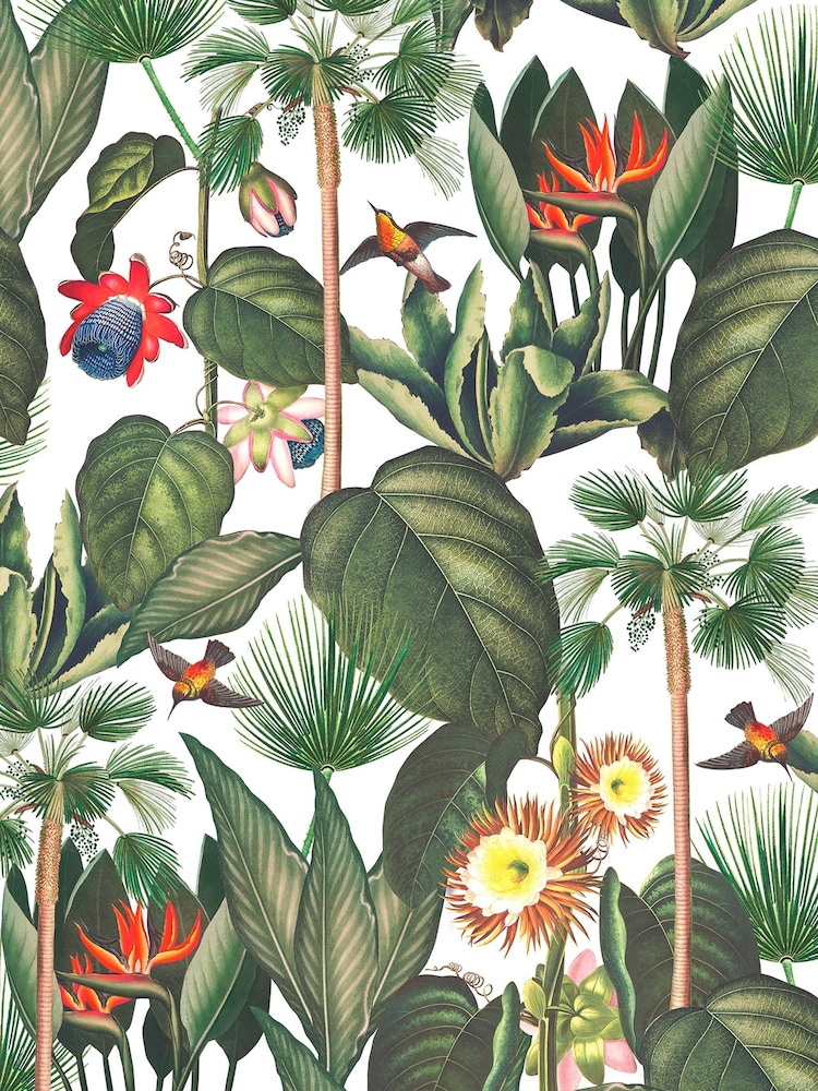 Graham & Brown Day Botanique Jungle Fixed Size Mural 2.5m x 4m - Image 2 of 3 Graham & Brown Day Botanique Jungle Fixed Size Mural 2.5m x 4m - Image 2 of 3