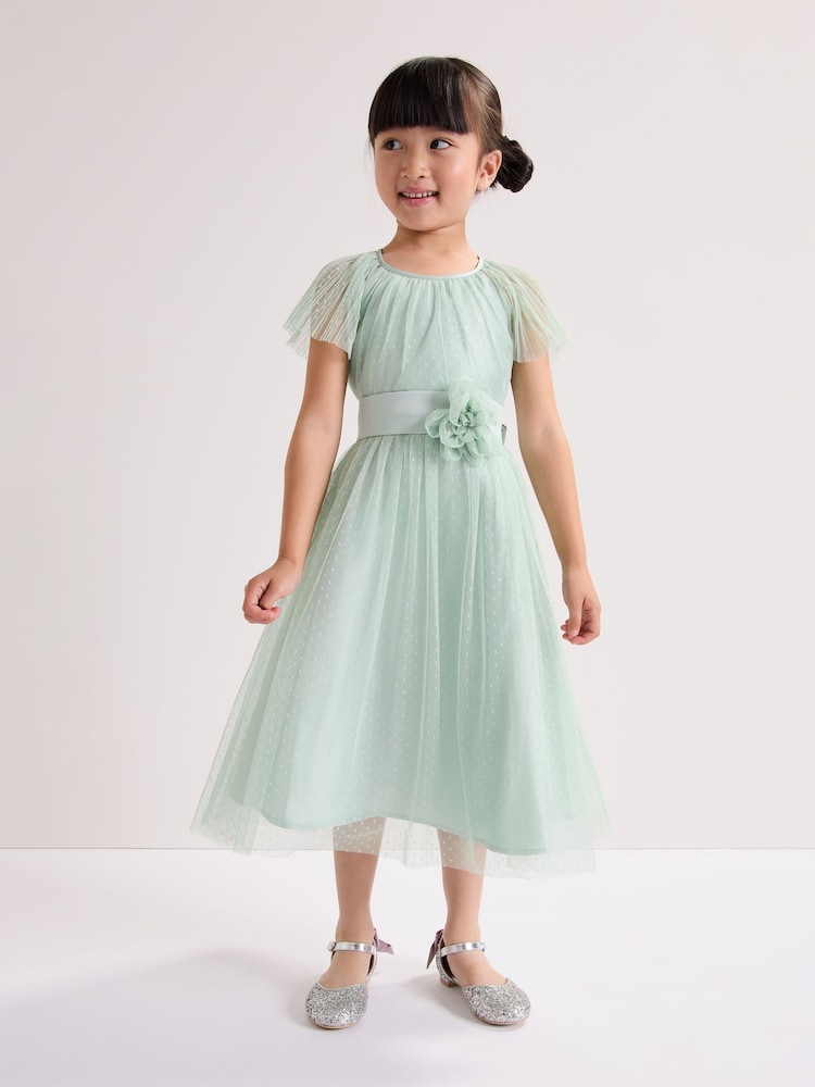 فستان تول Jasmine من Phase Eight - صورة 1 من 9 فستان تول Jasmine من Phase Eight - صورة 1 من 9