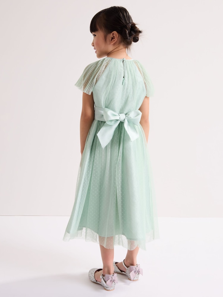 فستان تول Jasmine من Phase Eight - صورة 2 من 9 فستان تول Jasmine من Phase Eight - صورة 2 من 9