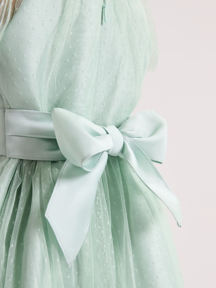 فستان تول Jasmine من Phase Eight - صورة 9 من 9 فستان تول Jasmine من Phase Eight - صورة 9 من 9