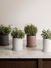 blomus Bark NONA Herb Pot - Image 2 of 2