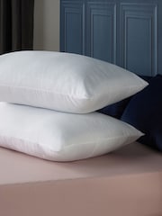 Downland Sleep Well Microfibre Pillow Pair - Image 1 of 6