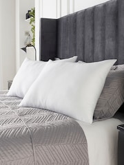 Downland Poly Cotton Pillow Pair - Image 1 of 6