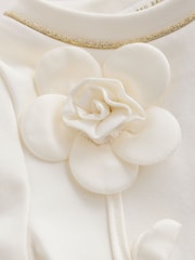 Baker by Ted Baker 3D Flower Placement Ponte Dress - Image 4 of 8