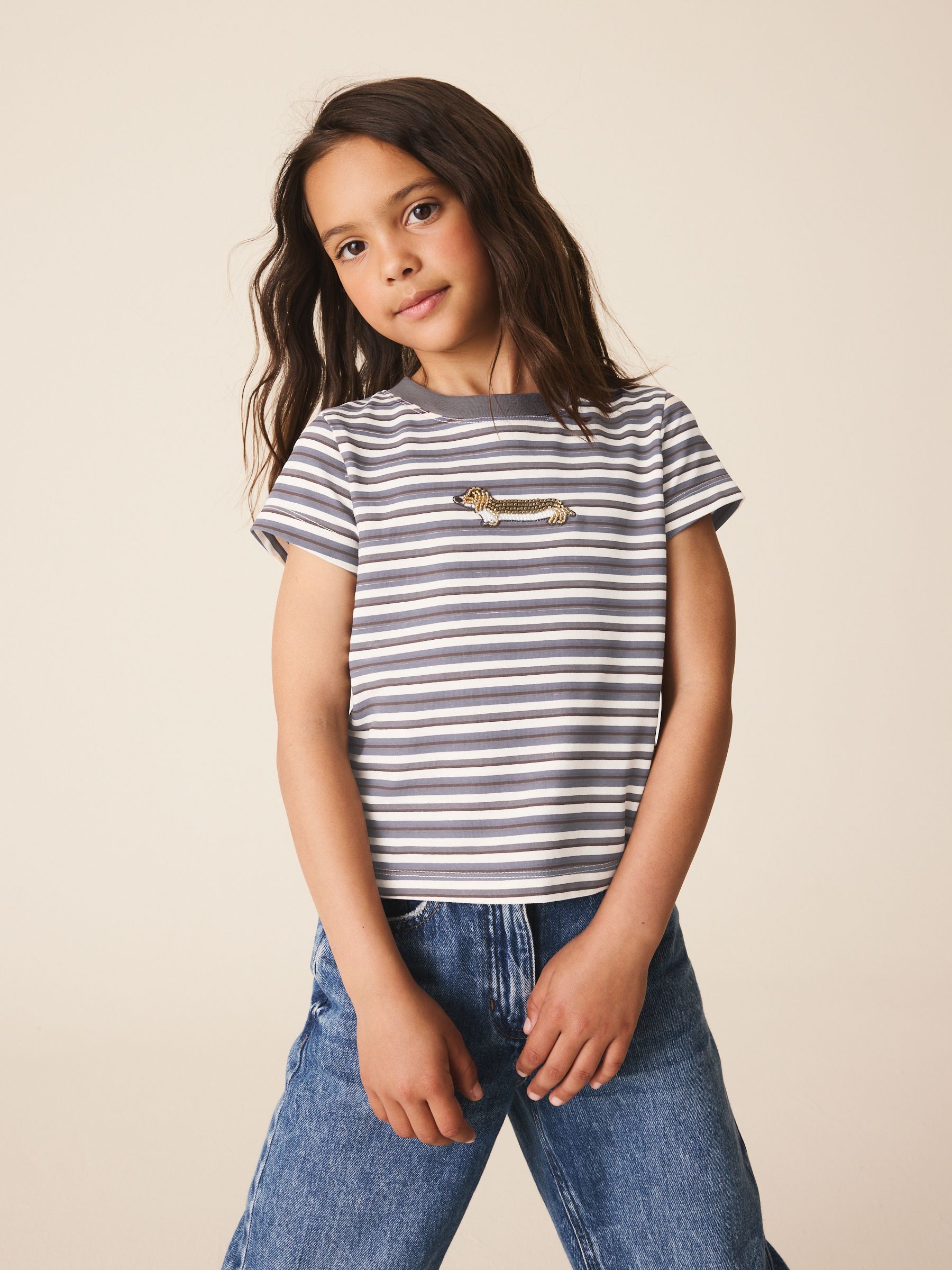 Buy Grey Stripe Dog Beaded T-Shirt (3-16yrs) from Next Jordan