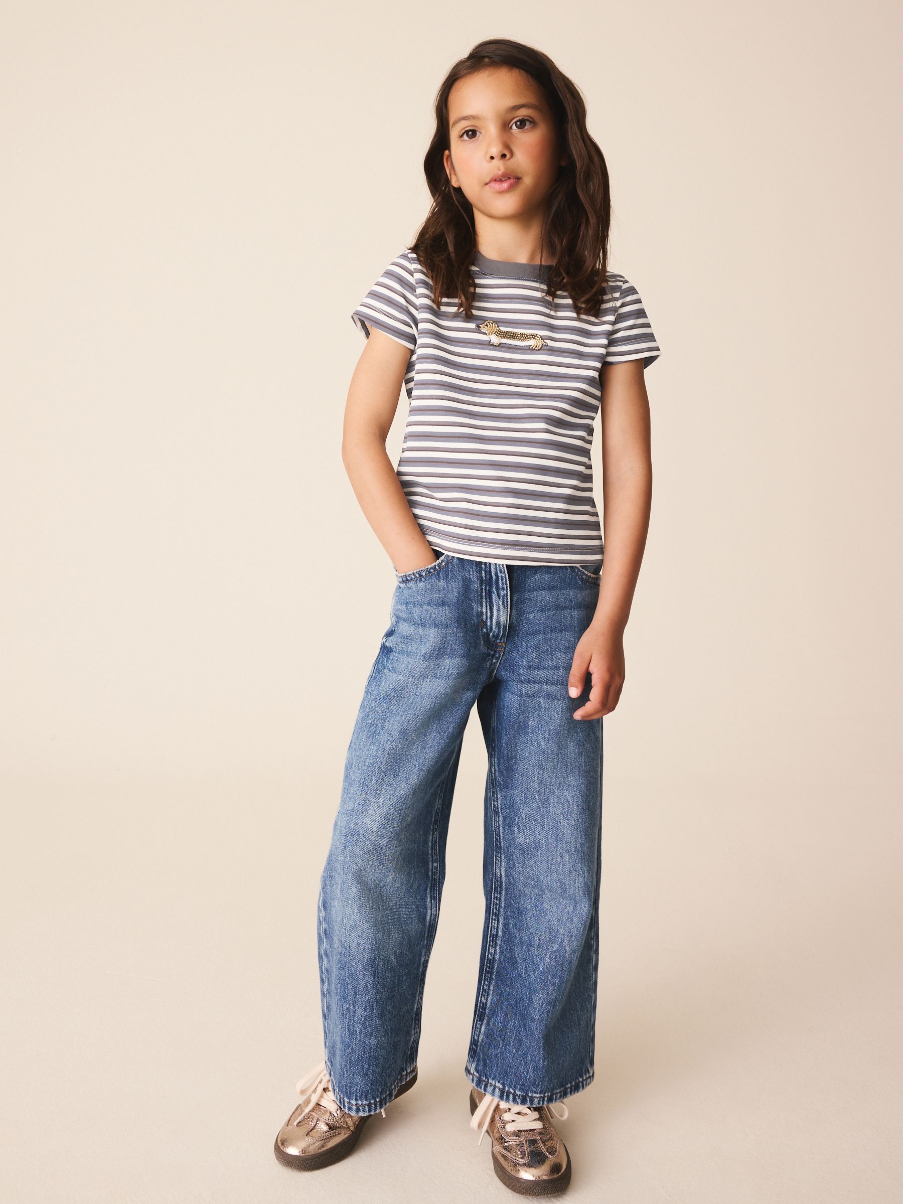 Buy Grey Stripe Dog Beaded T-Shirt (3-16yrs) from Next Jordan