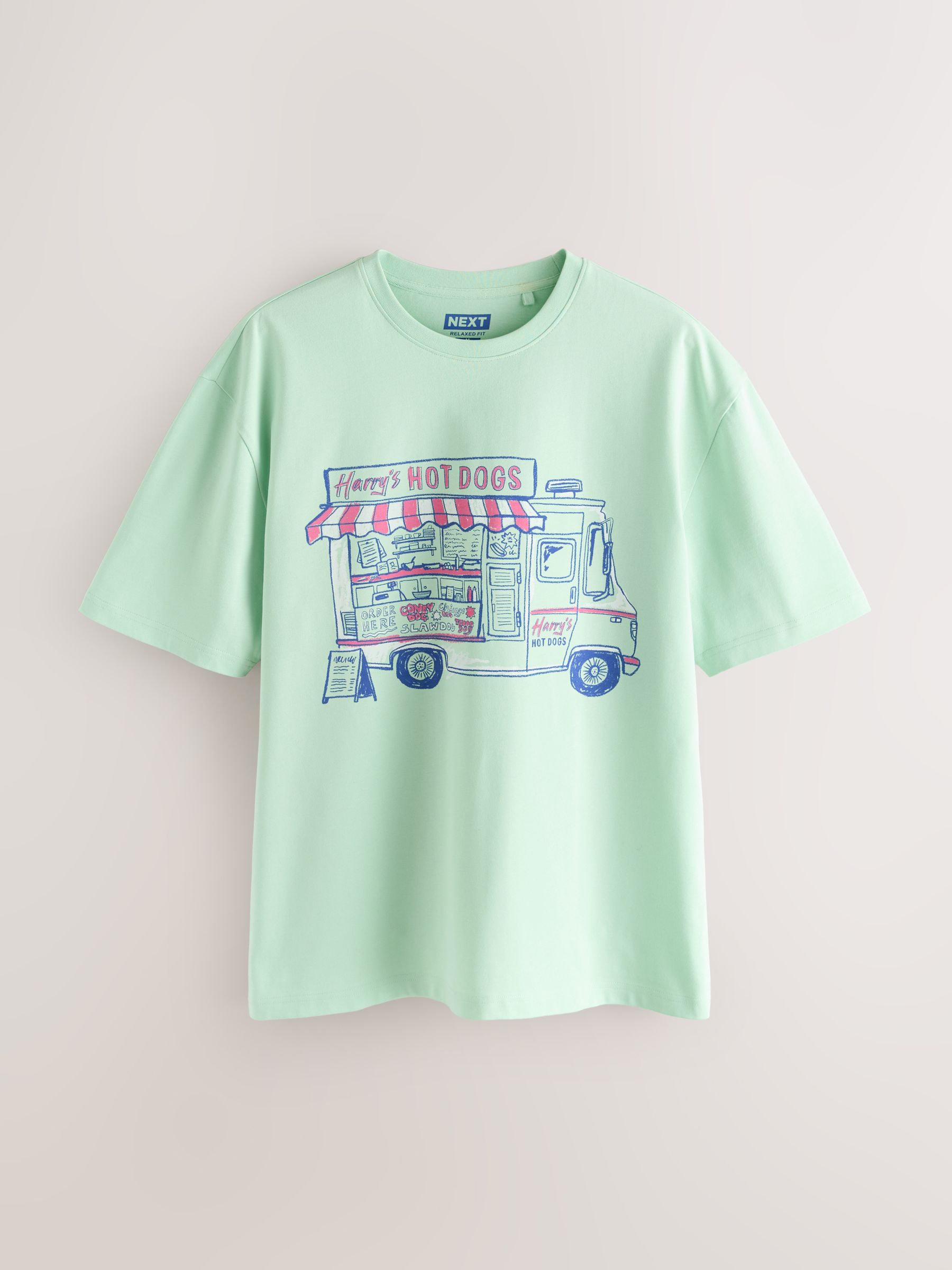 Buy Mint Green Relaxed Fit Graphic Print Heavy Weight T-Shirt from