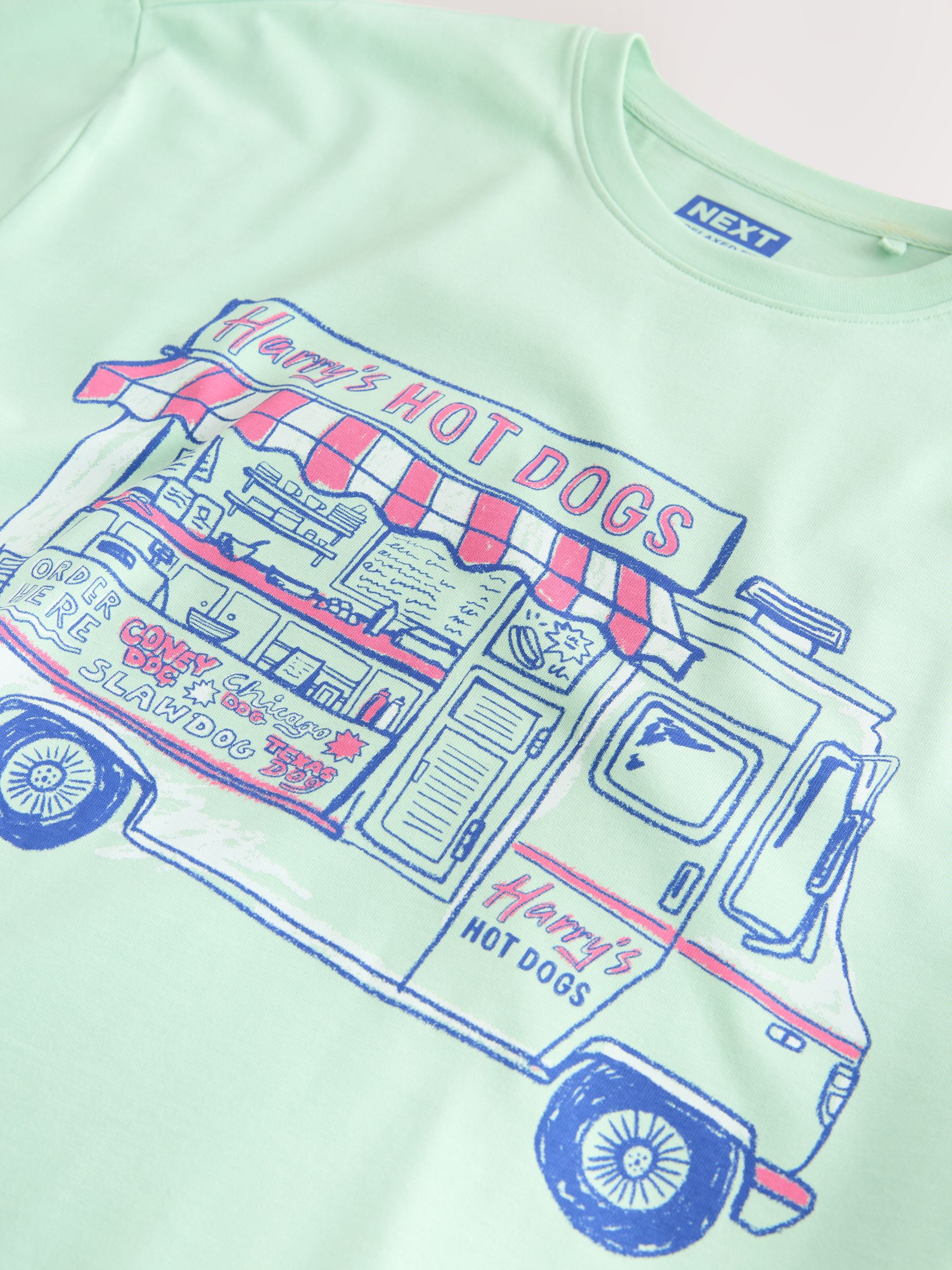 Buy Mint Green Relaxed Fit Graphic Print Heavy Weight T-Shirt from