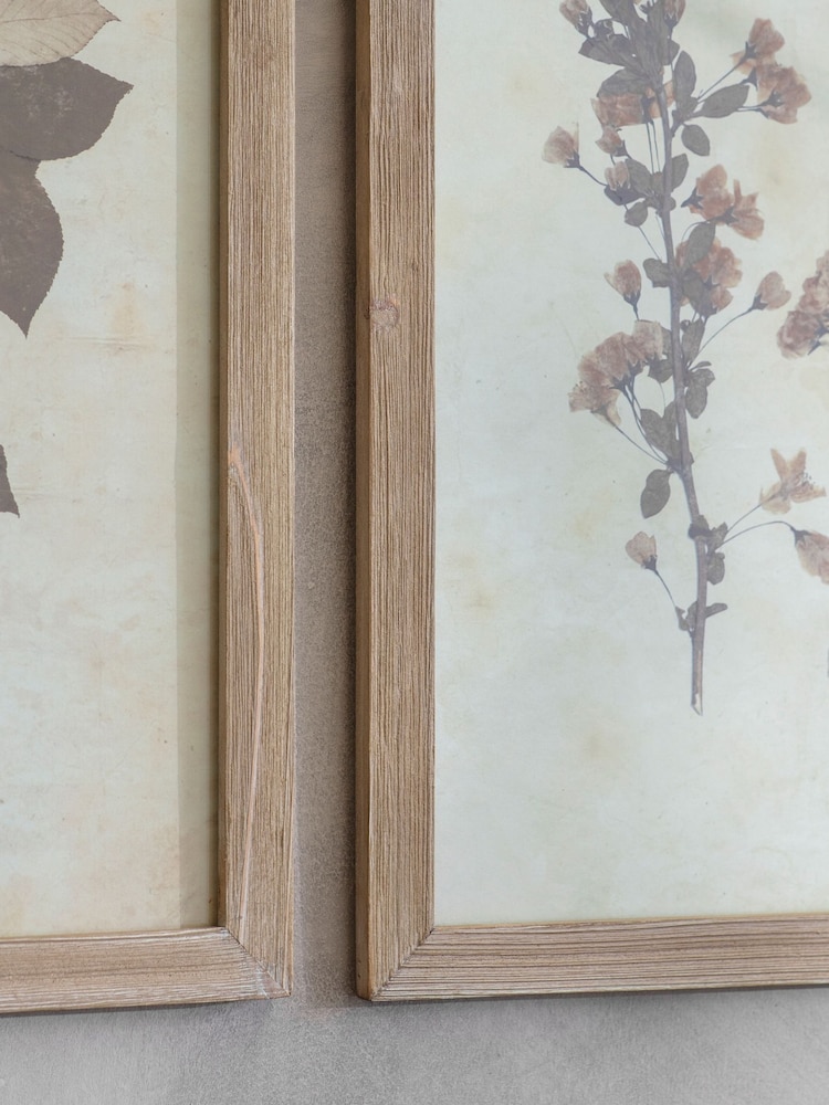 One.World Set of 2 Natural Ormington Ornamental Leaf Framed Wall Art Prints - Image 2 of 2