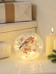 Festive 20cm Bo Lit Crackle Effect Robin Branch Ball - Image 1 of 1