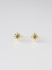 Carrie Elizabeth Gold Tone Dainty Blue Topaz Star Stud Earrings - Image 1 of 4