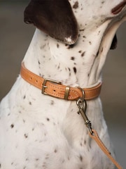 Lords and Labradors Tan Cream Italian Leather Dog Lead - Image 3 of 6