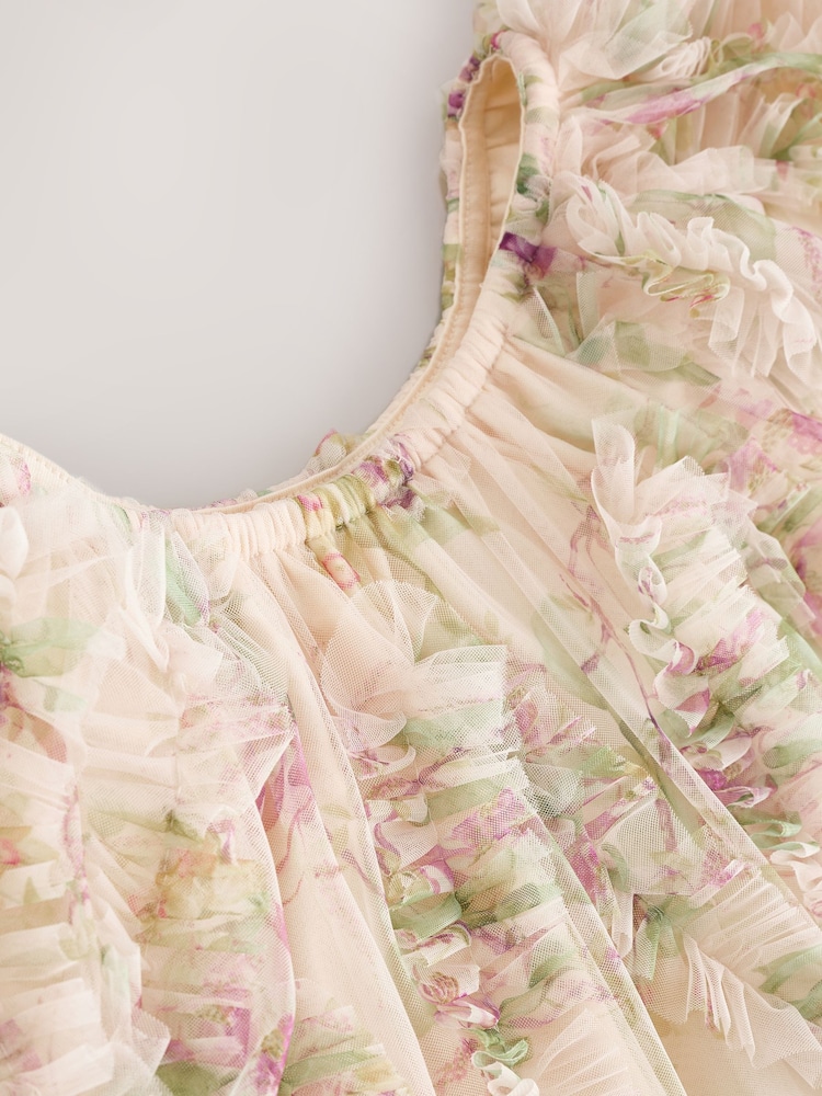 Buy Cream/Pink Floral Floral 3D Ruffle Mesh Occasion Dress (3-16yrs) from  Next Republic of Moldova