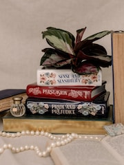 Steel Mill and Co. White Stacked Books Planter Jane Austen - Image 1 of 4