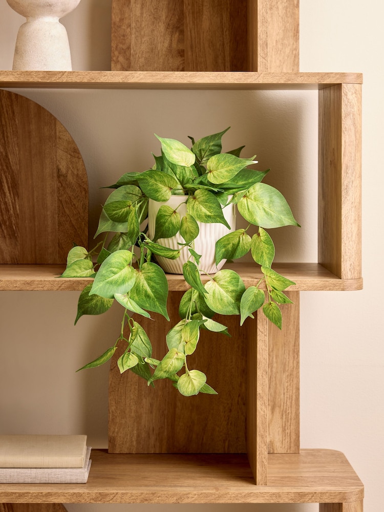 Green Artificial Trailing Plant In Ceramic Pot - Image 1 of 3