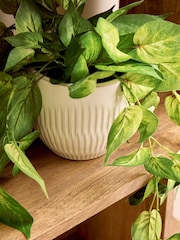Green Artificial Trailing Plant In Ceramic Pot - Image 2 of 3