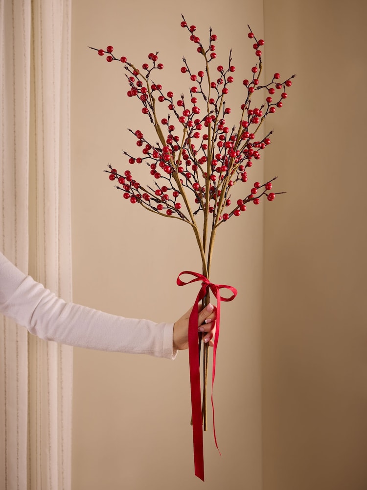 Red Berry (3 Stems) - Image 1 of 5