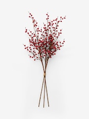Red Berry (3 Stems) - Image 4 of 5