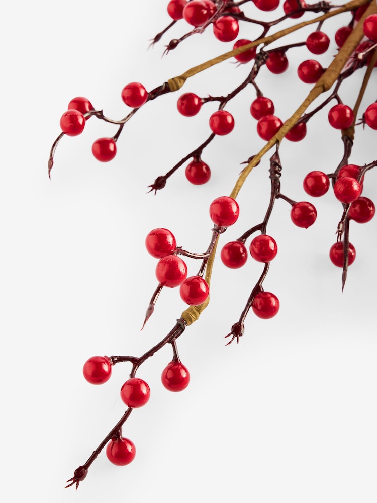 Red Berry (3 Stems) - Image 5 of 5